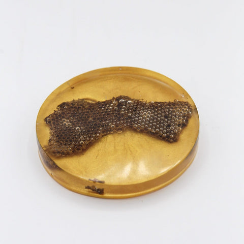 Coaster de resina con panal encapsulado