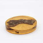 Coaster de resina con panal encapsulado