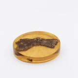 Coaster de resina con panal encapsulado
