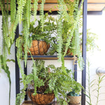Jardinera para balcón